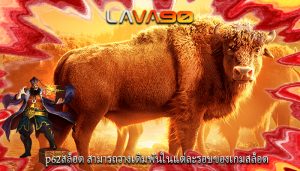 p62สล็อต สามารถวางเดิมพันในแต่ละรอบของเกมสล็อต